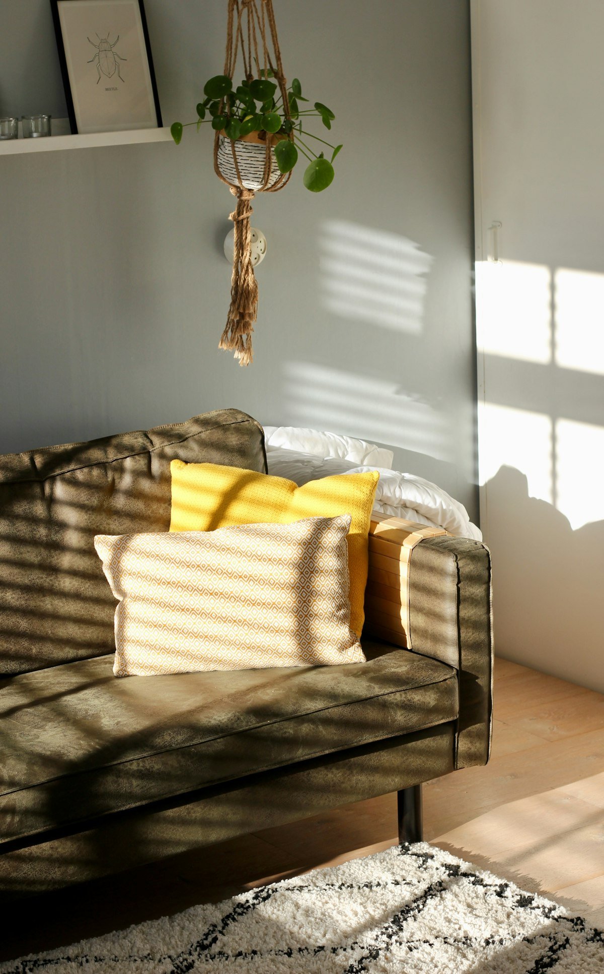 Carved Comfort Sofa