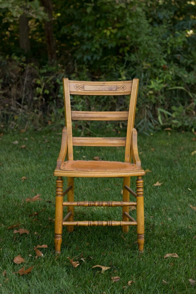 Dining Chairs - Chinioti Sheesham wood furniture in Pakistan